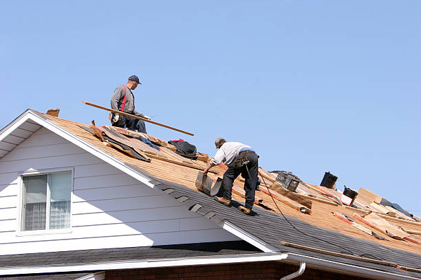 Best Roof Coating and Sealing  in Elkton, MD